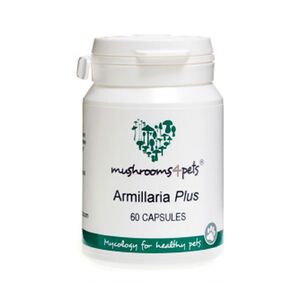 Armillaria Plus 500mg 60db